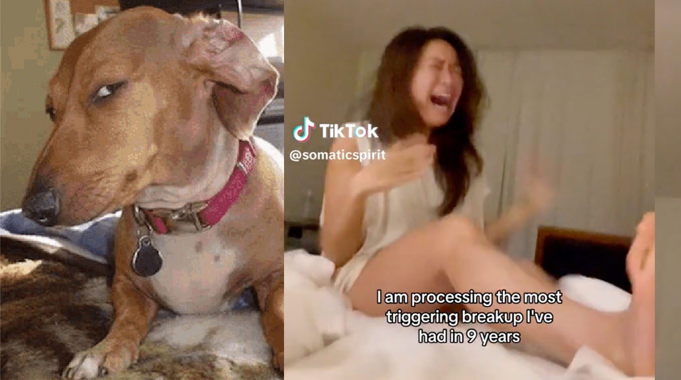 I'm Processing The Most Triggering Breakup I've Had In Nine Years Meme Template