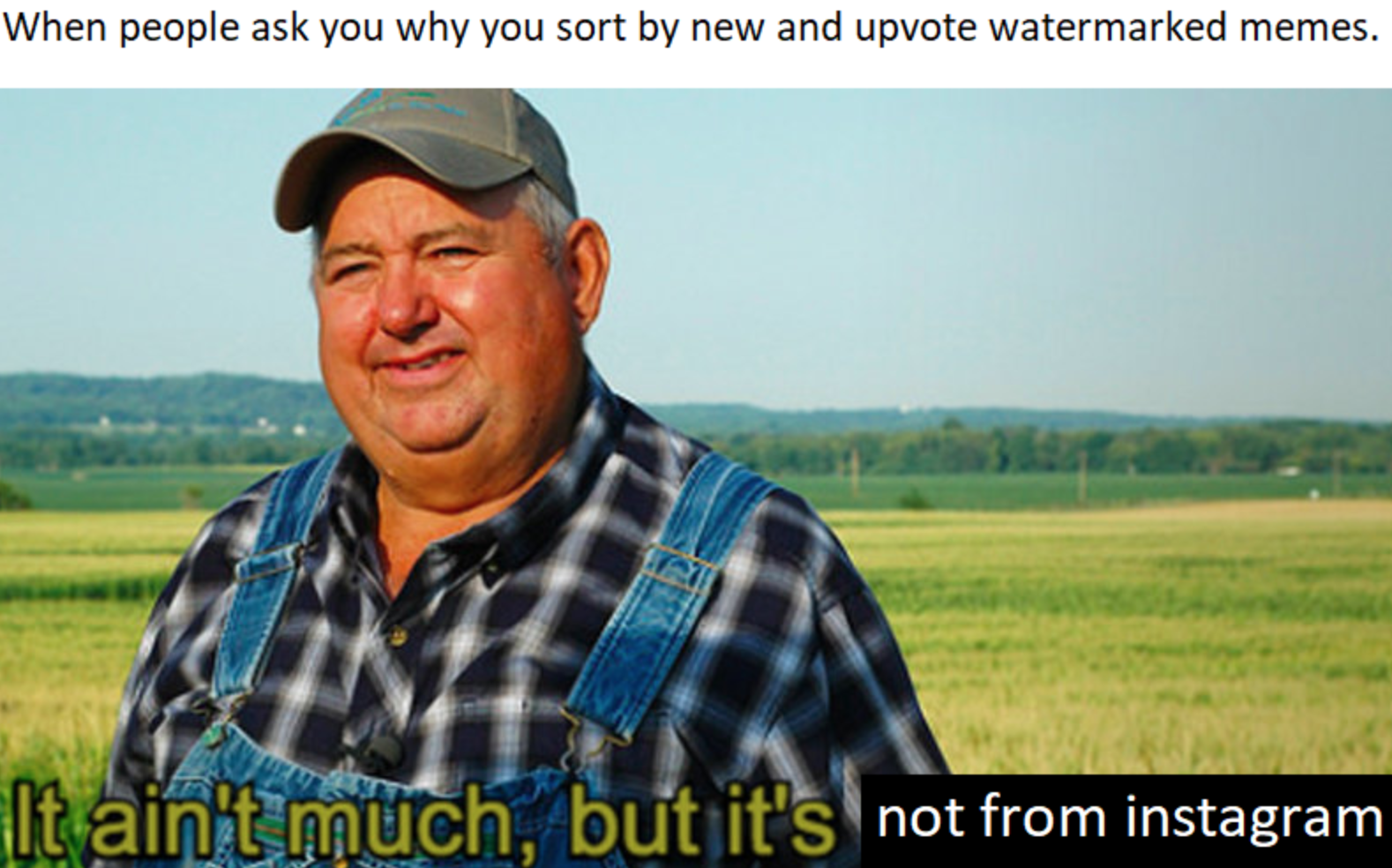 Instagram vs. /r/Dankmemes War