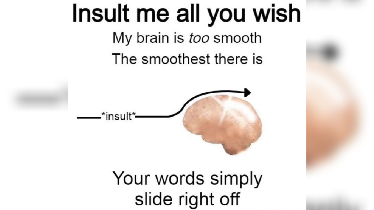 Insult Me All You Wish My Brain Is Too Smooth