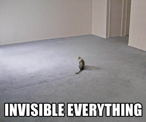 Invisible Bike