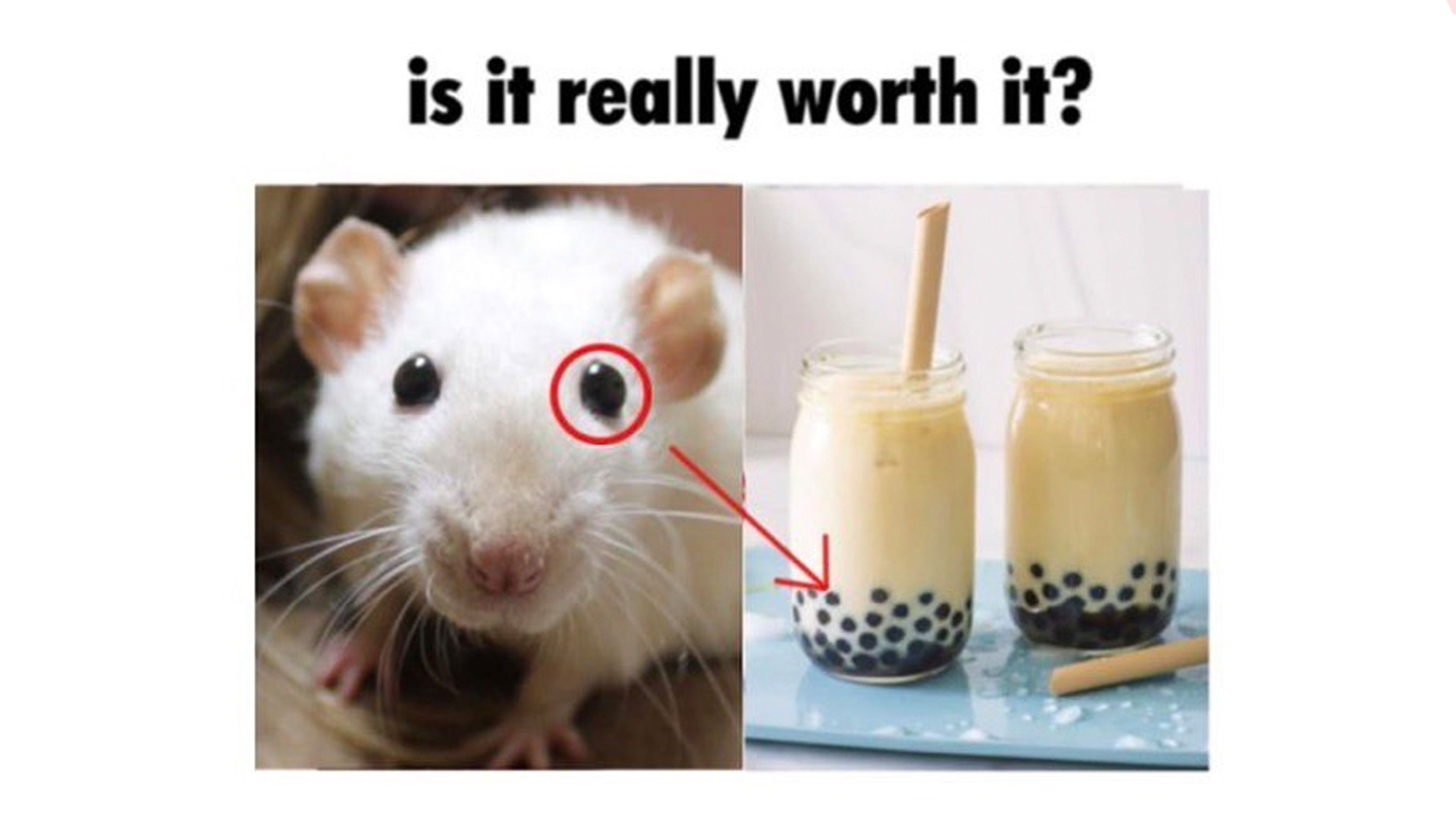 Is It Really Worth It?