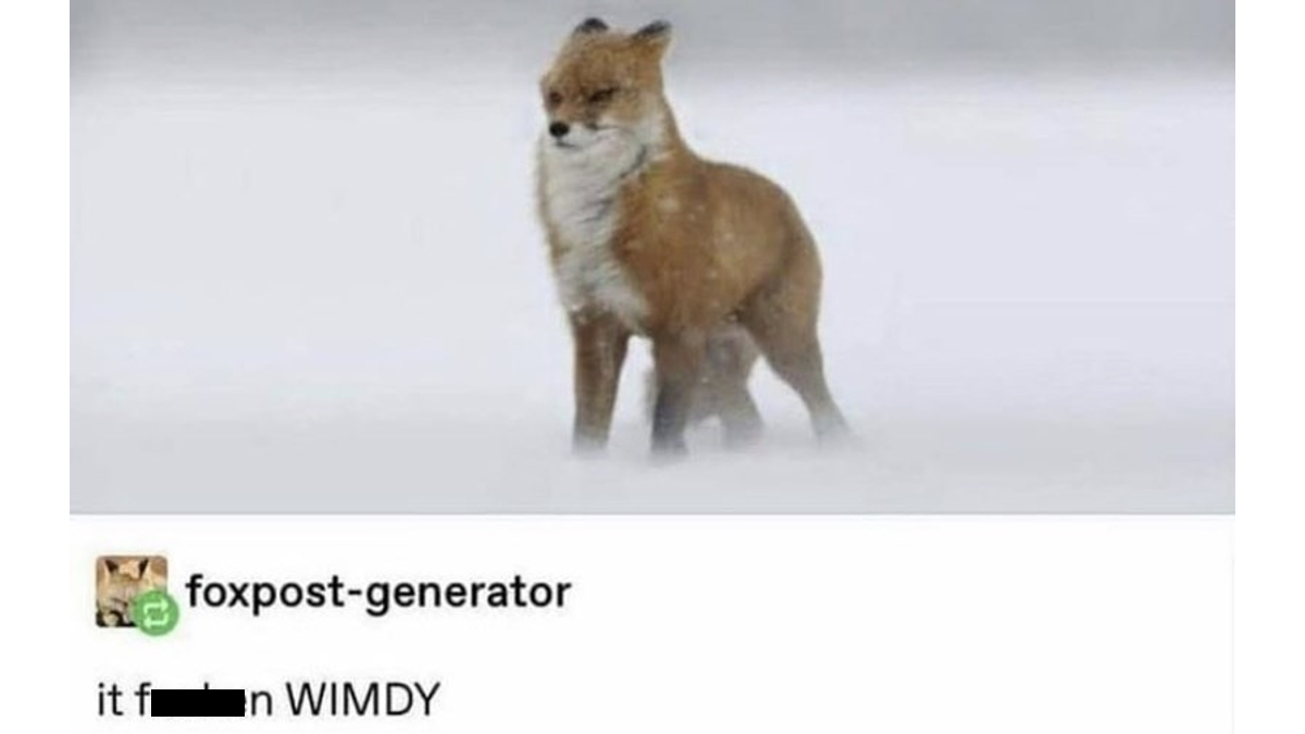 It Fucken Wimdy Meme Template