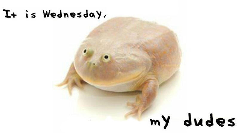 It Is Wednesday My Dudes