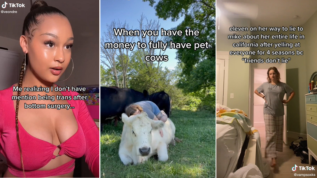 It's My Pussy I Can Do What I Want Meme Template