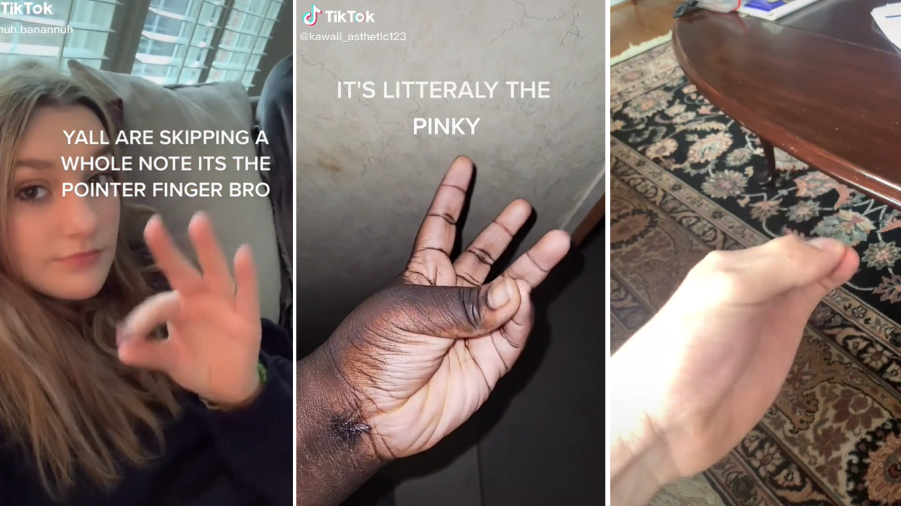 It's The Pointer / Pinky TikTok Trend Meme Template