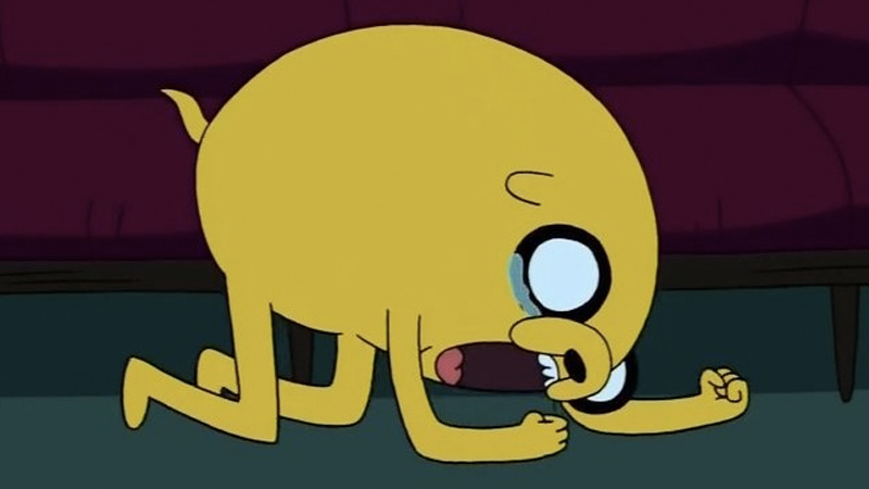 Jake Bit By Spider / Screaming Jake Meme Template