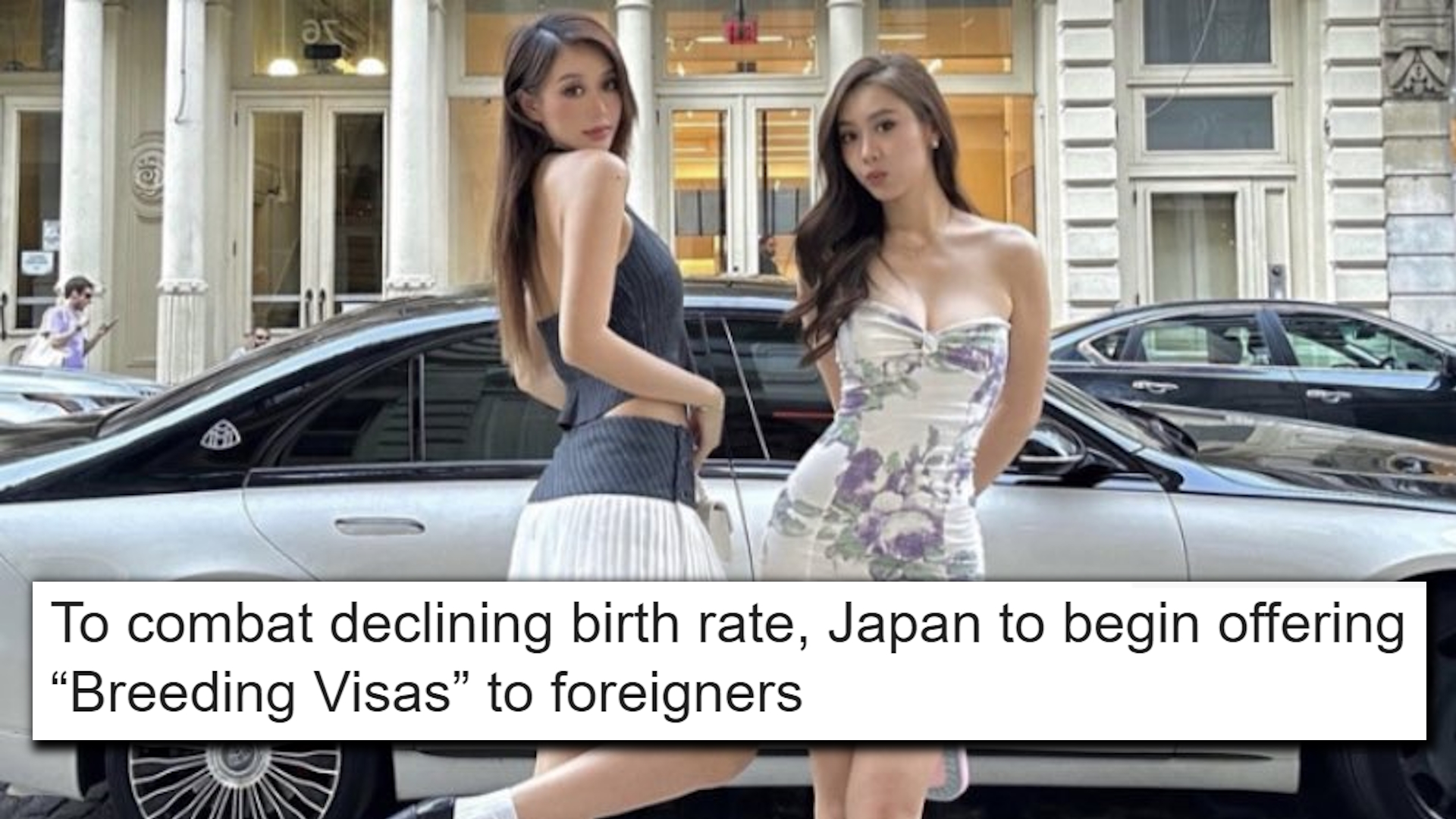 Japanese "Breeding Visas" Hoax Meme Template