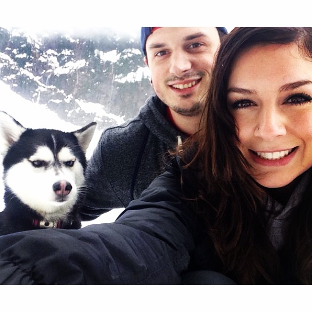 Jealous Husky