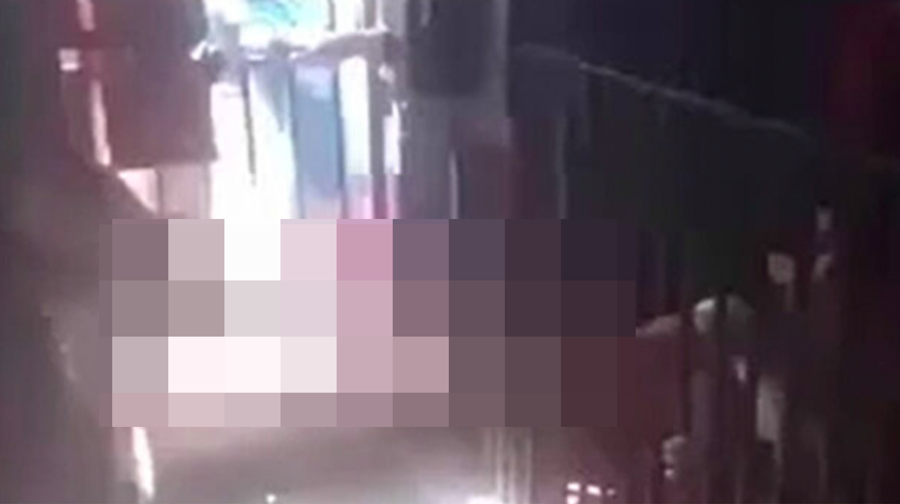 Jellyfish Arms Jail Video