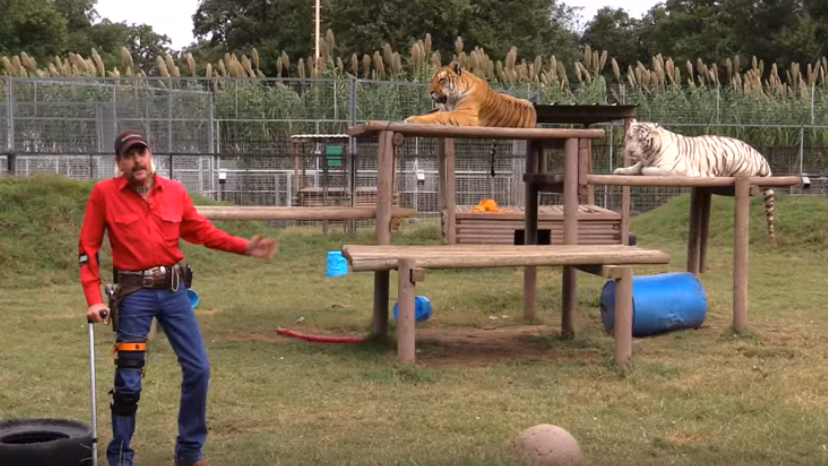 Joe Exotic's N-Word Video