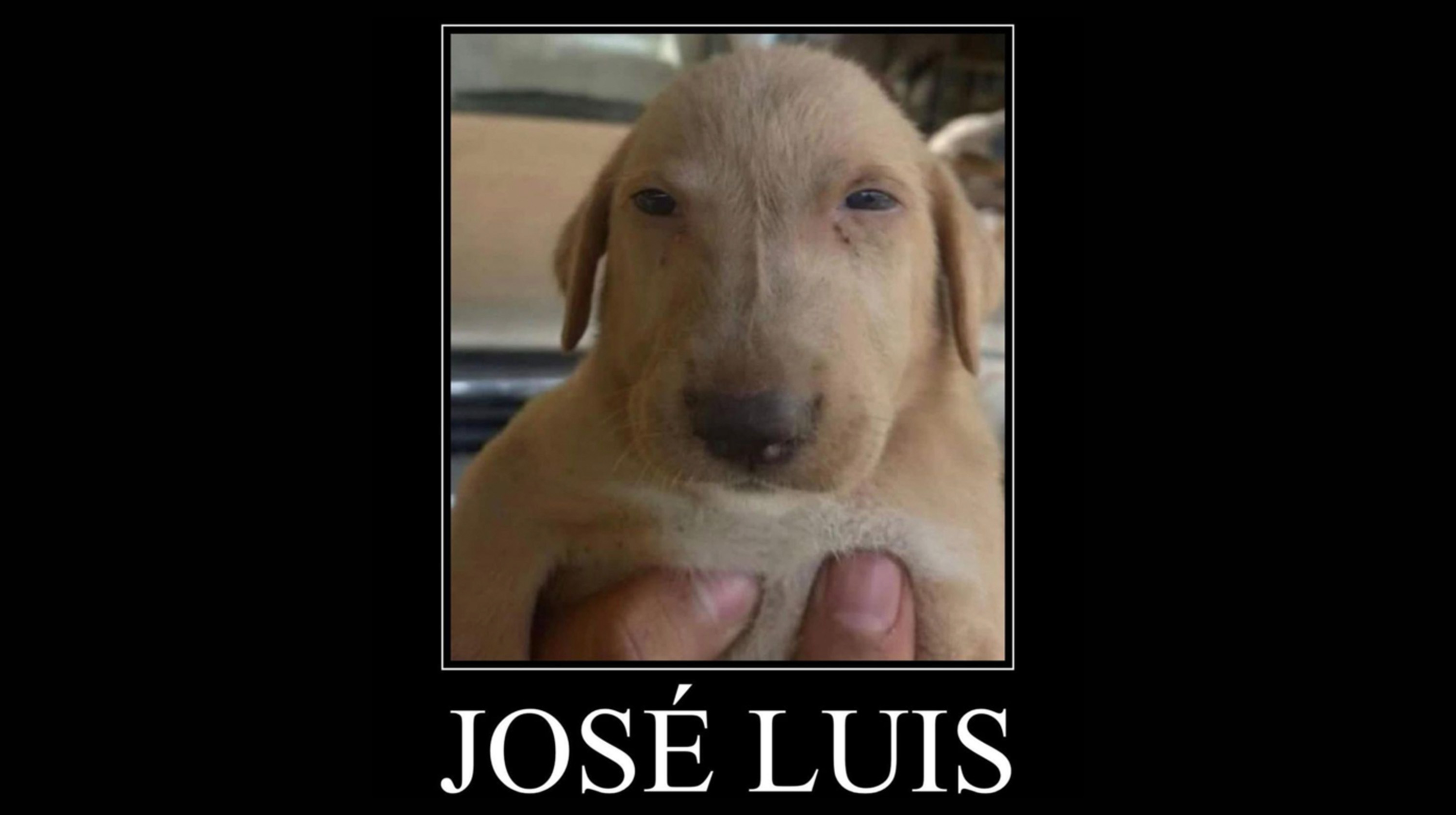 José Luis