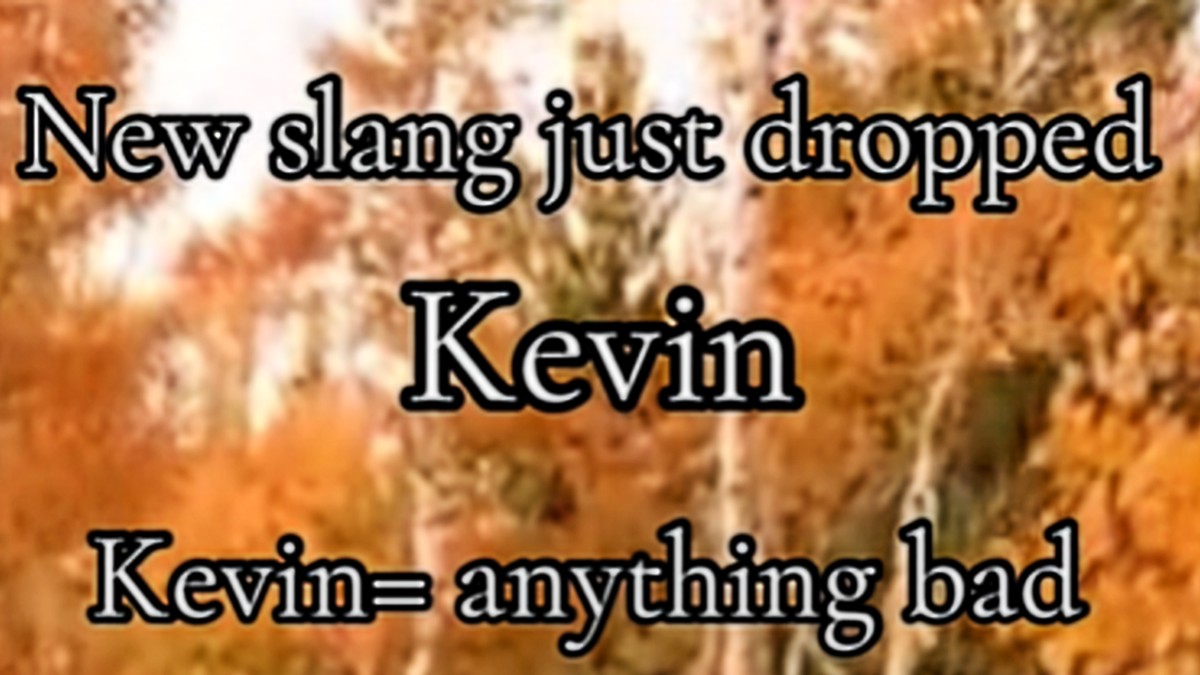 Kevin / TS So Kevin (Slang)