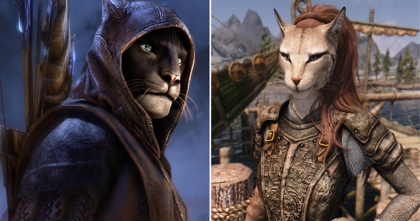 Khajiit / Khajiit Has Wares Meme Template
