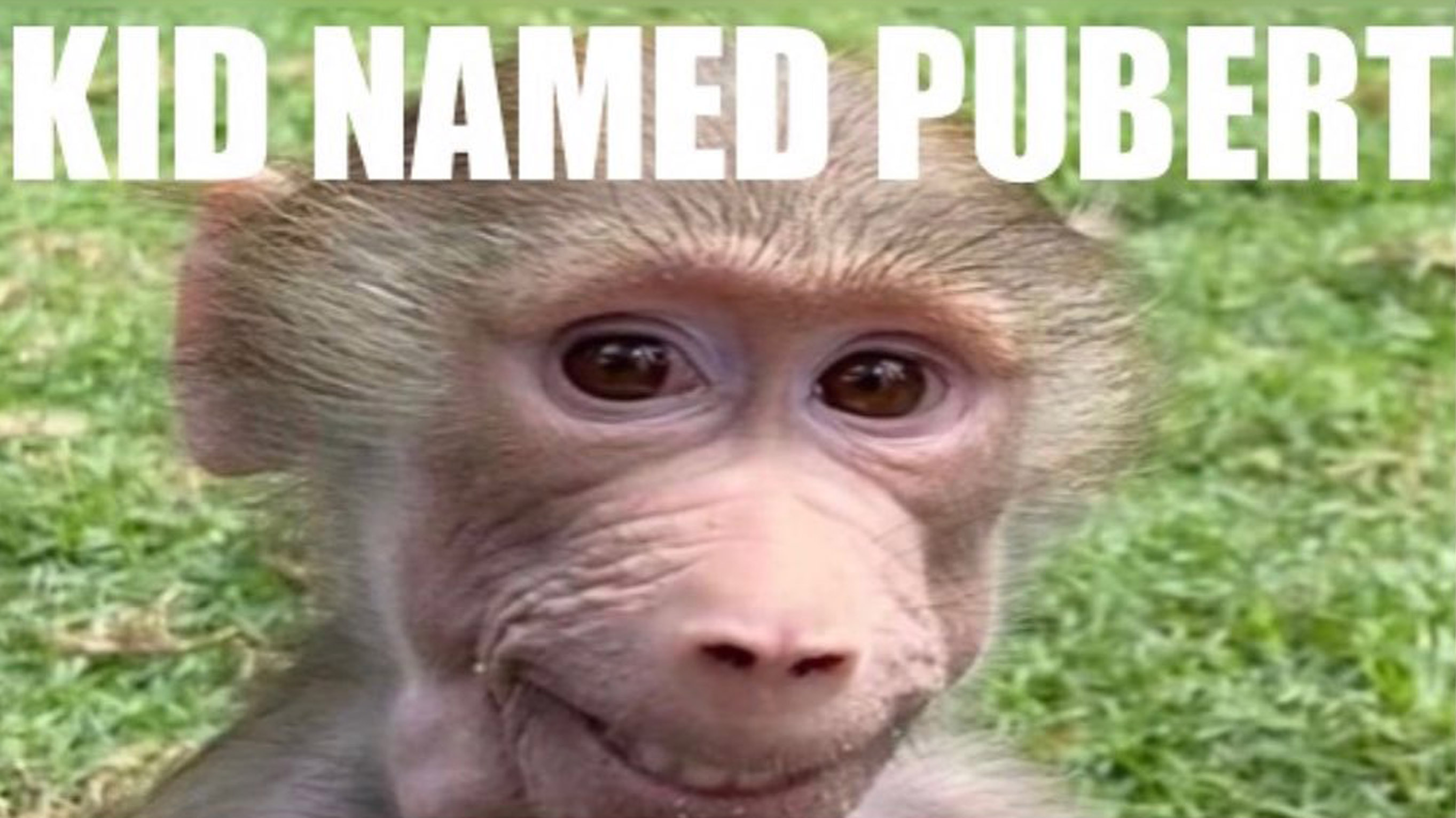 Kid Named Pubert Meme Template