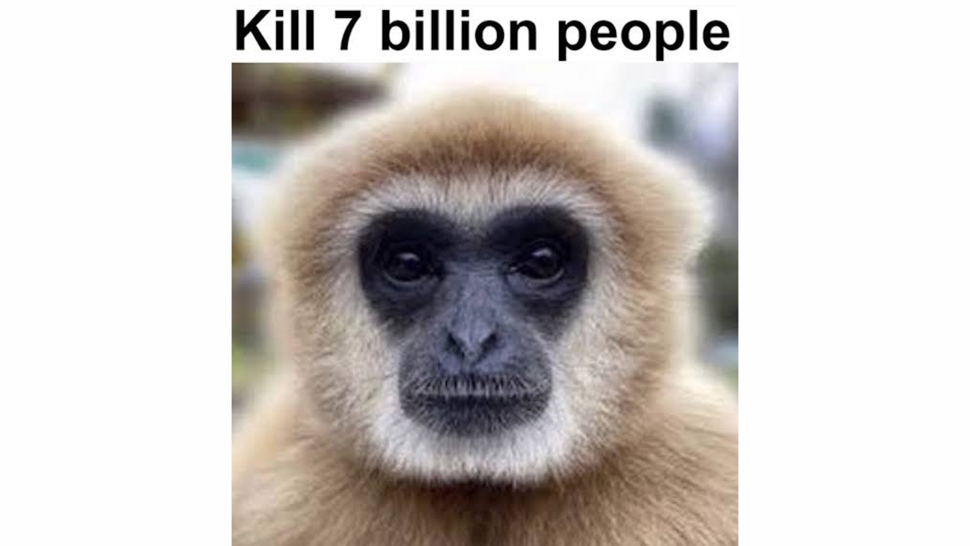 Kill 7 Billion People Monkey Meme Template