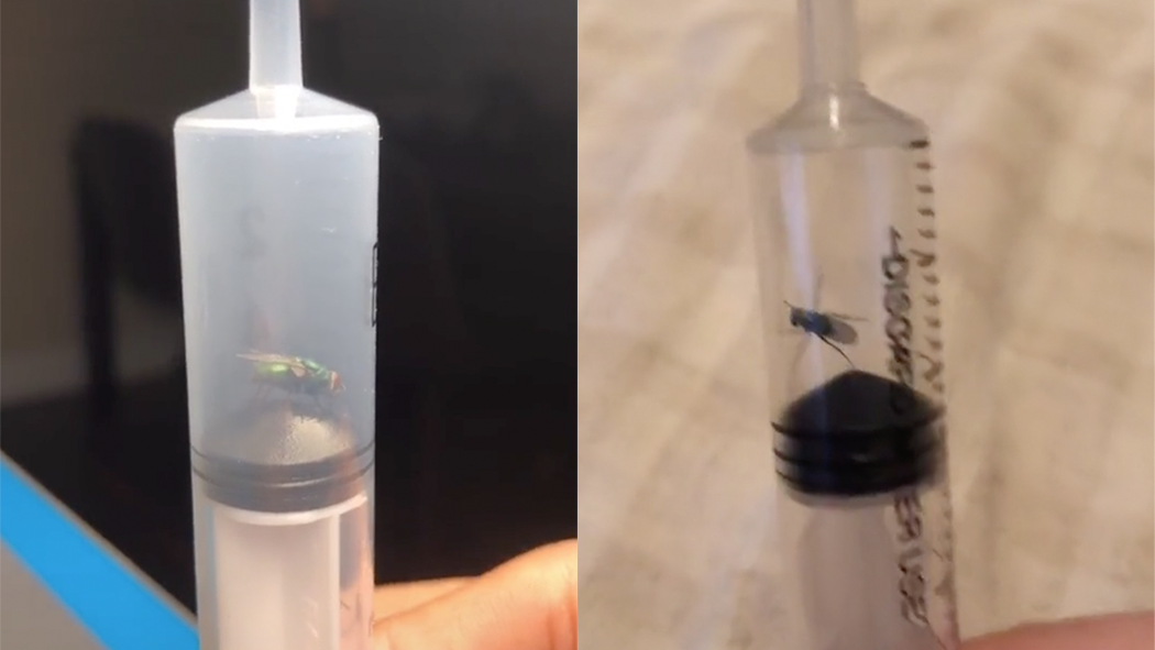 Killing Flies With Syringes