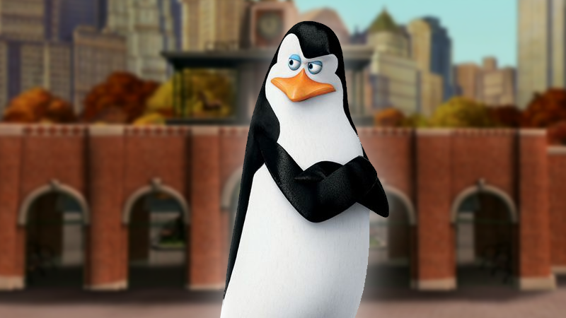 Kowalski Meme Template