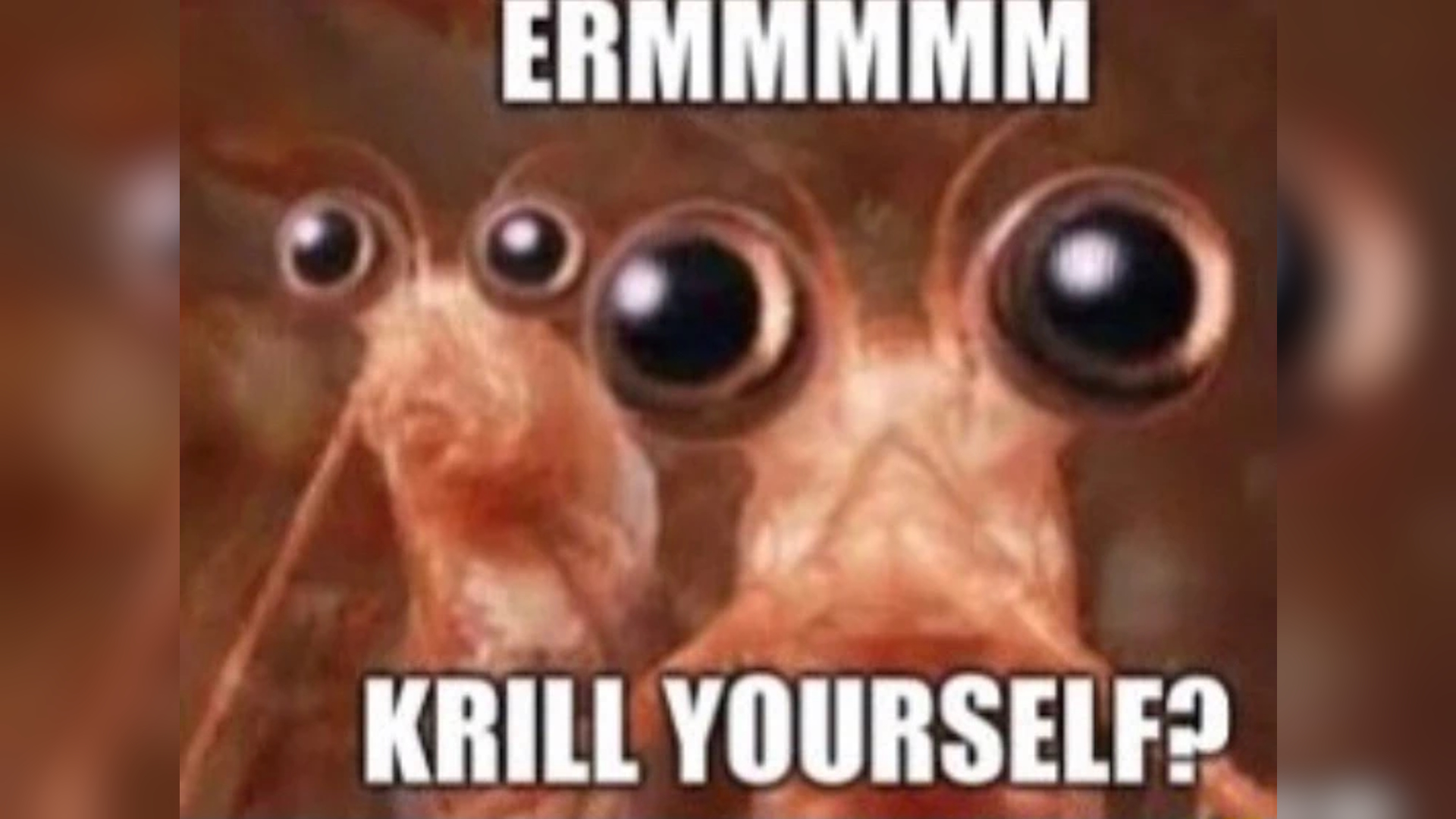 Krill Yourself / Krilla / Krill Puns Meme Template