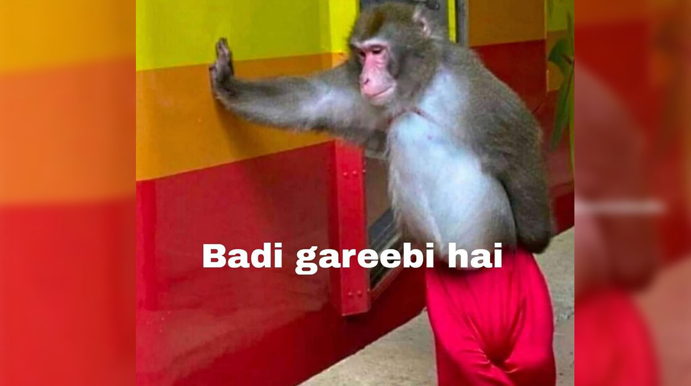 Leaning Monkey with Red Pants