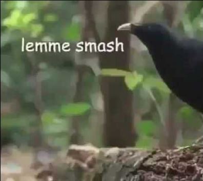 Lemme Smash
