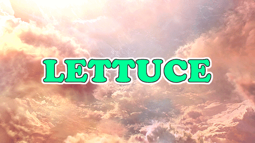 Lettuce / It Says "Never Give Up"