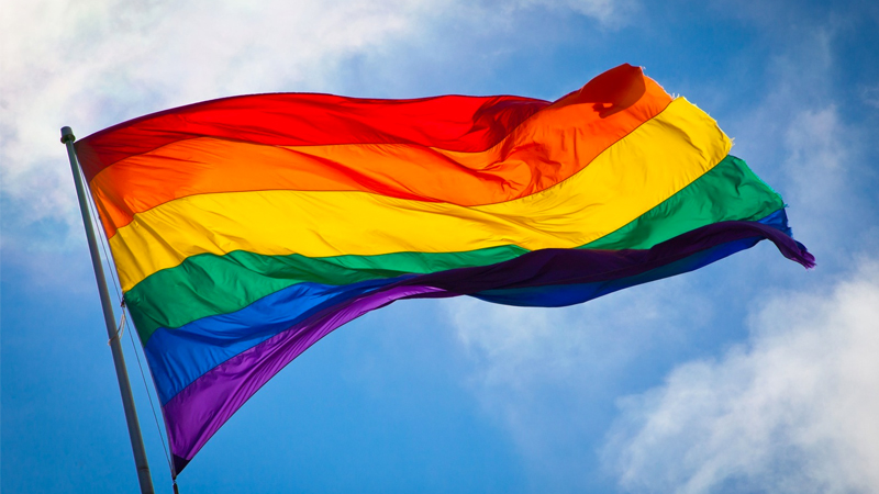 LGBTQ+ Pride Month Meme Template