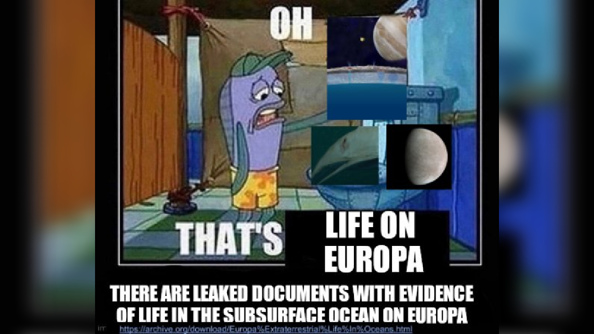 Life On Europa Leaked Documents / Europan Hookmouth Hoax