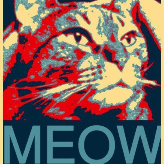 Limberbutt McCubbins Meme Template