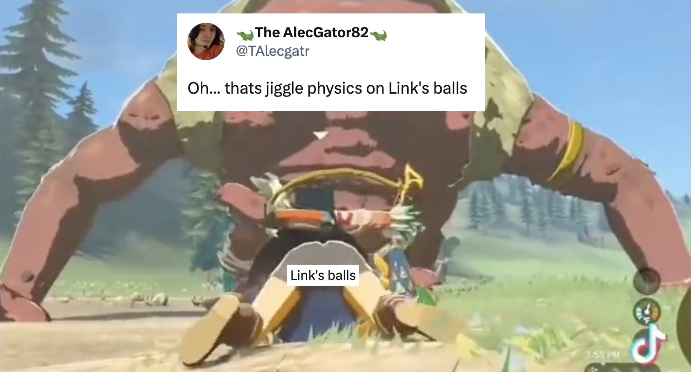 Link's Balls