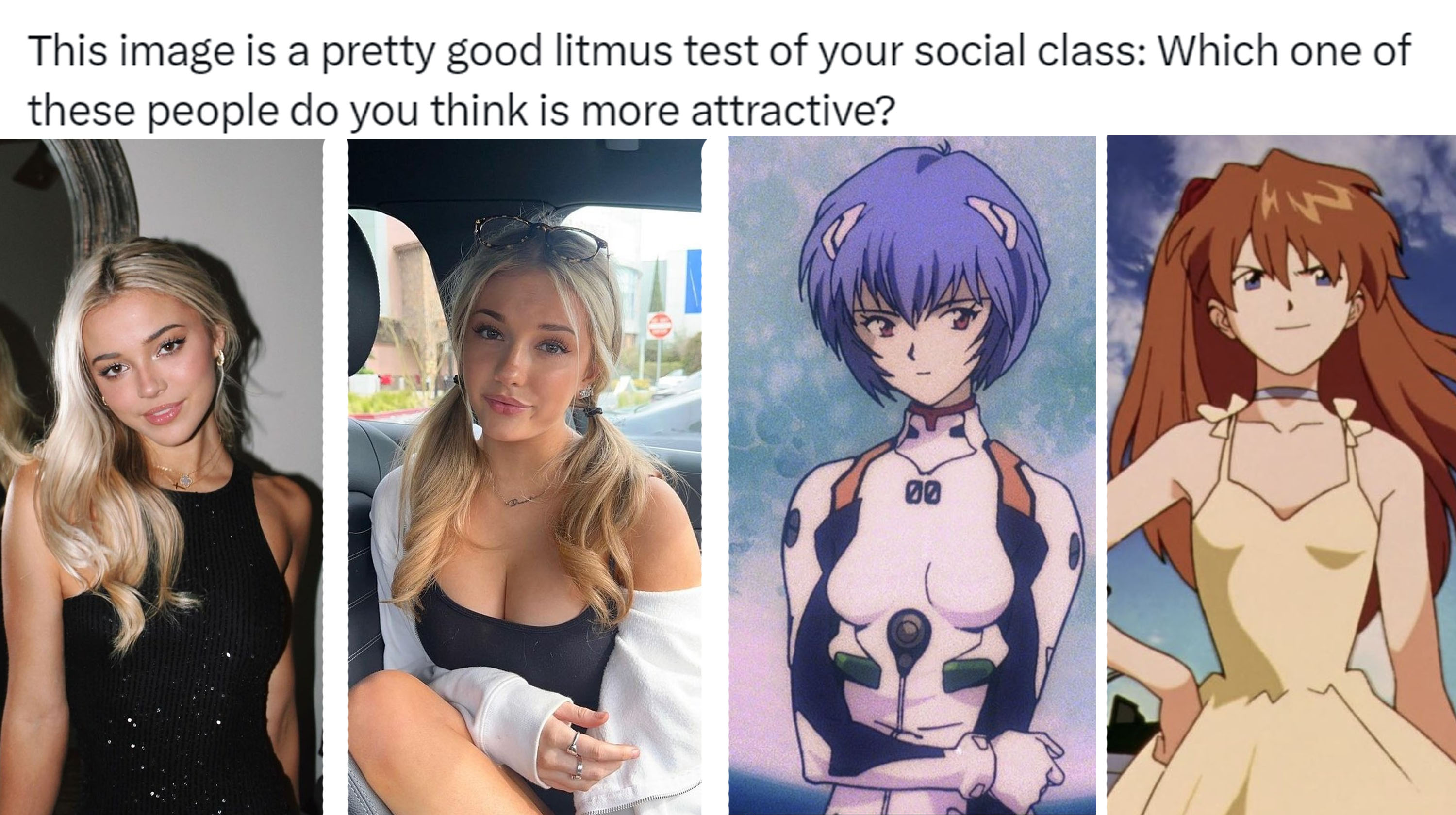 Litmus Test For Social Class / Which Is More Attractive? Meme Template