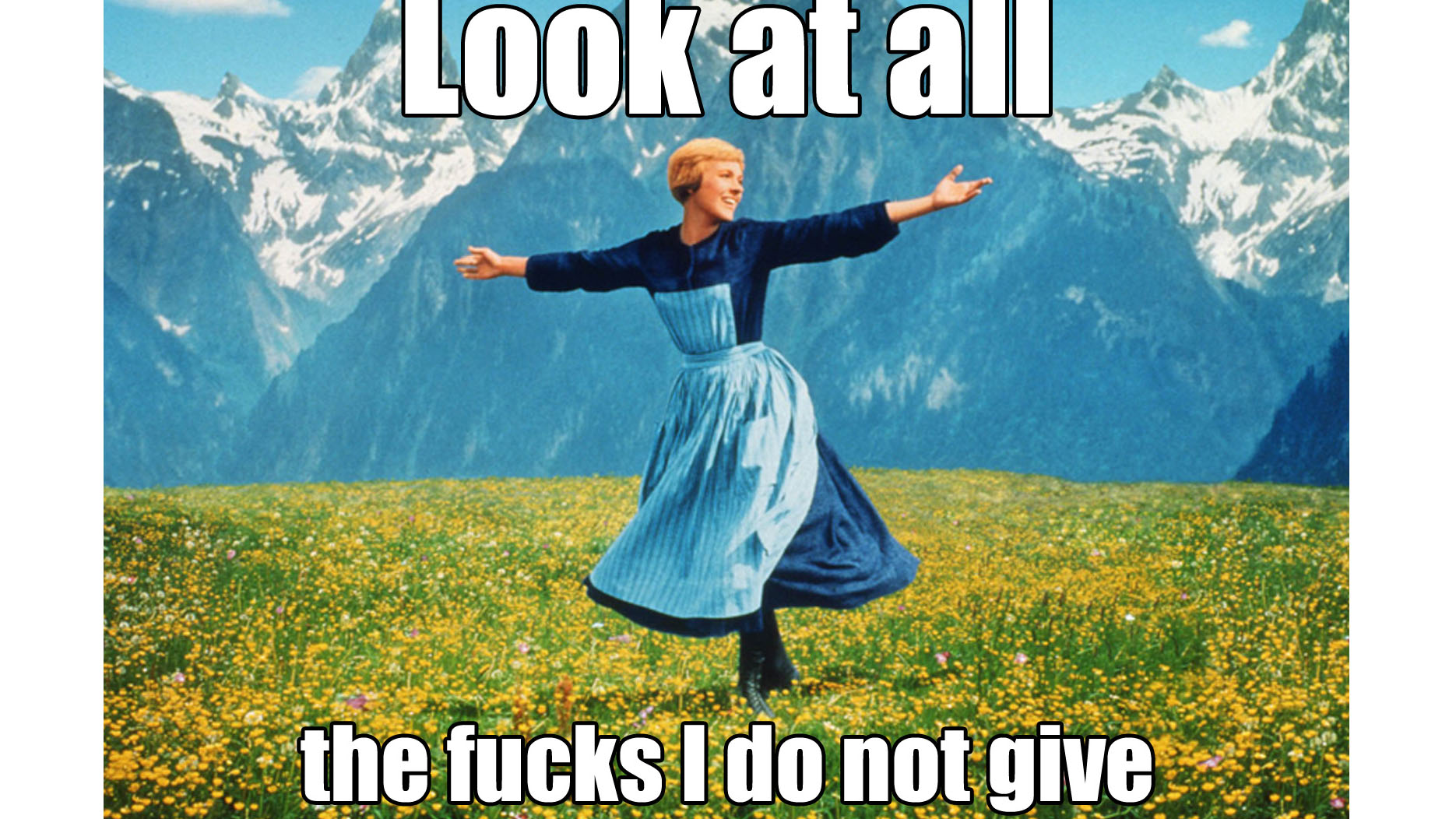 Look At All The Fucks I Give