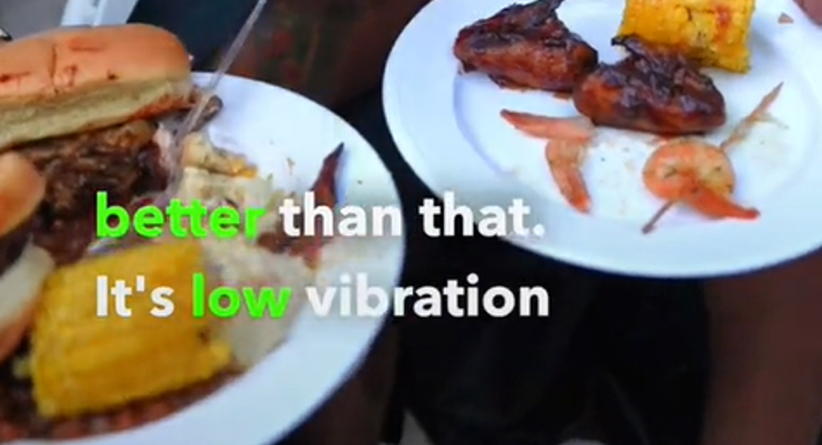 Low Vibration Plate Meme Template