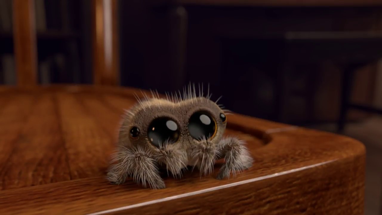 Lucas the Spider