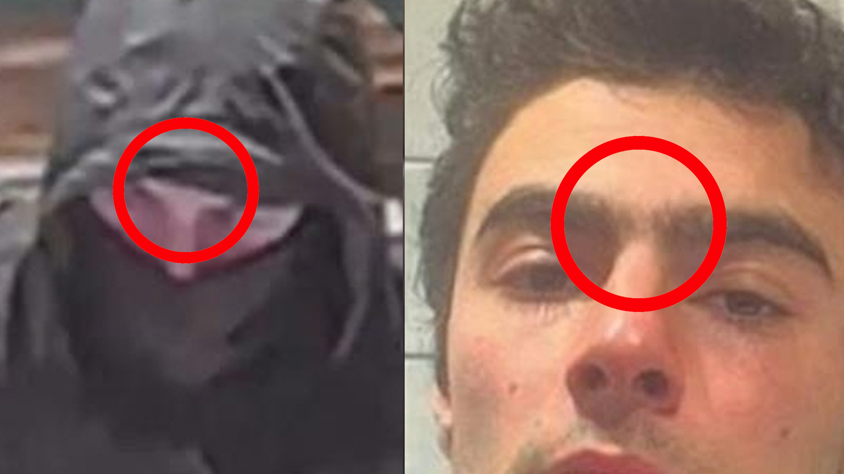 Luigi Mangione Is Not the Shooter Conspiracy Theory