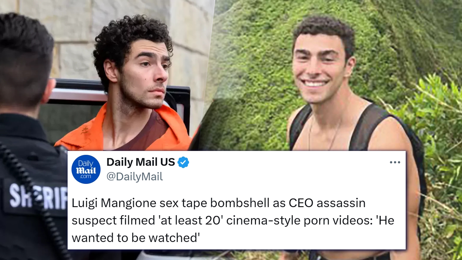 Luigi Mangione Sex Tapes Rumor Meme Template