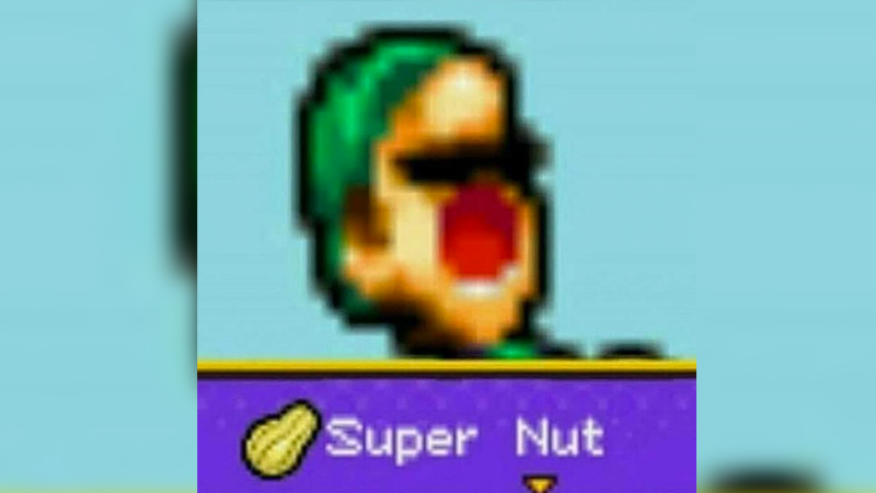 Luigi Super Nut