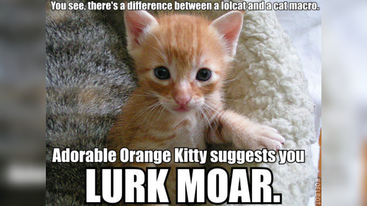 Lurk Moar Meme Template