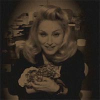 Madonna Loathes Hydrangea