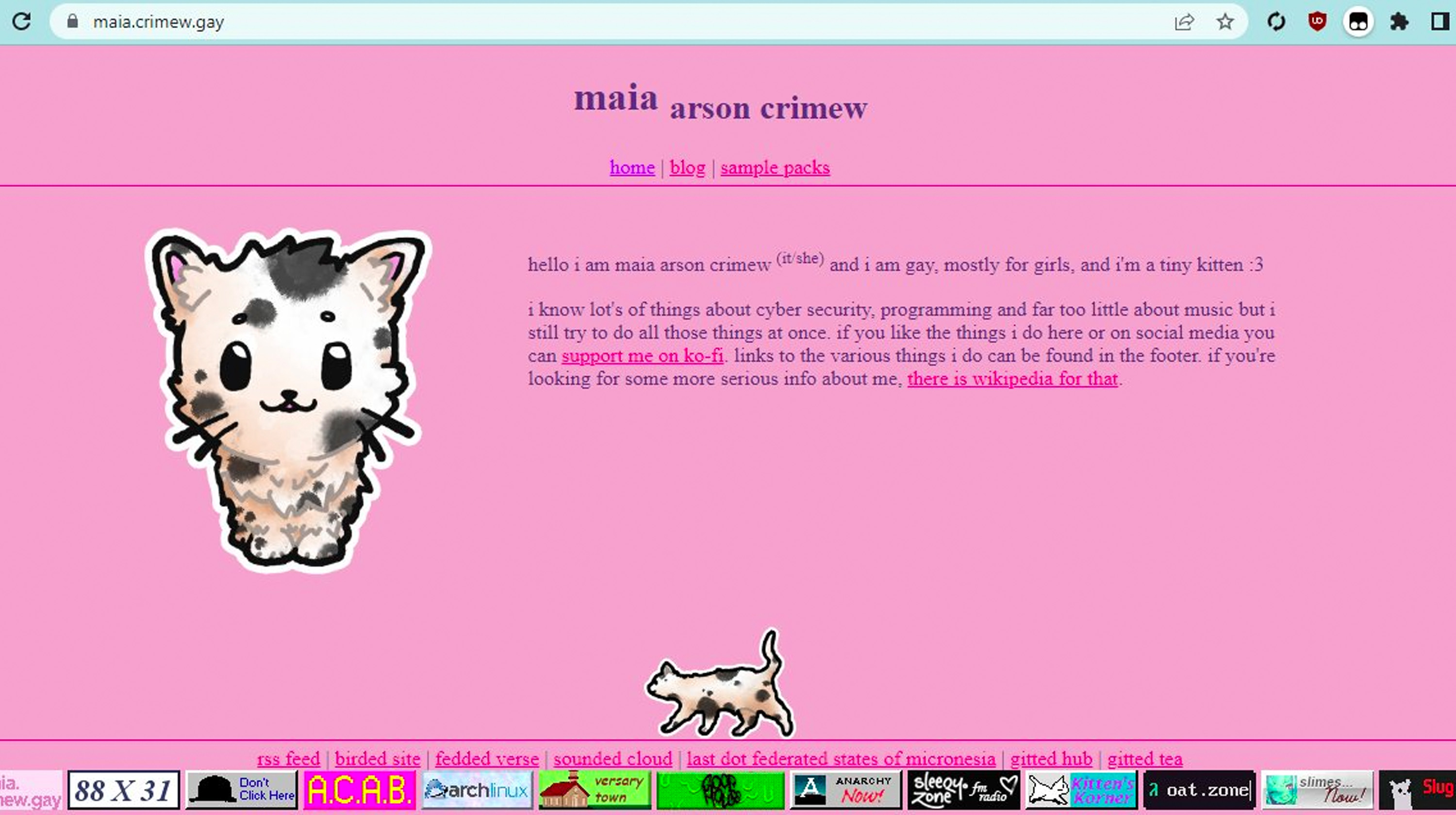 Maia Arson Crimew's "No-Fly List" Leak Meme Template