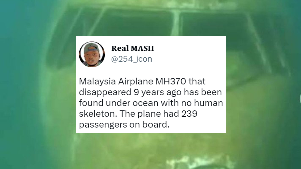 Malaysian Flight MH370 Found With No Skeletons Hoax Meme Template