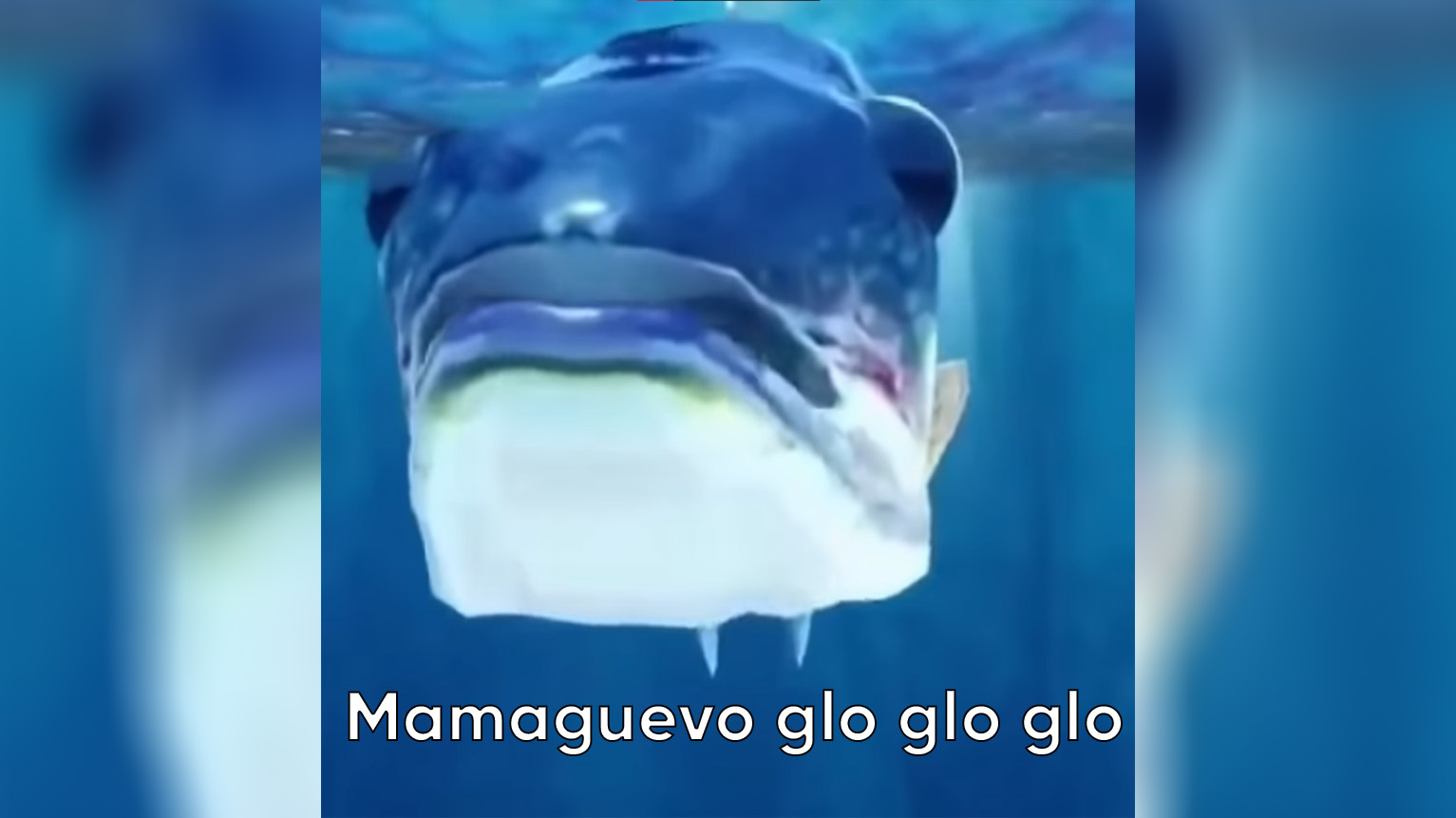 Mamaguevo, Digo Glo Glo Glo / Mama Huevo Meme Template