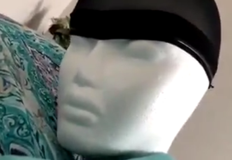 Mannequin Head Turn
