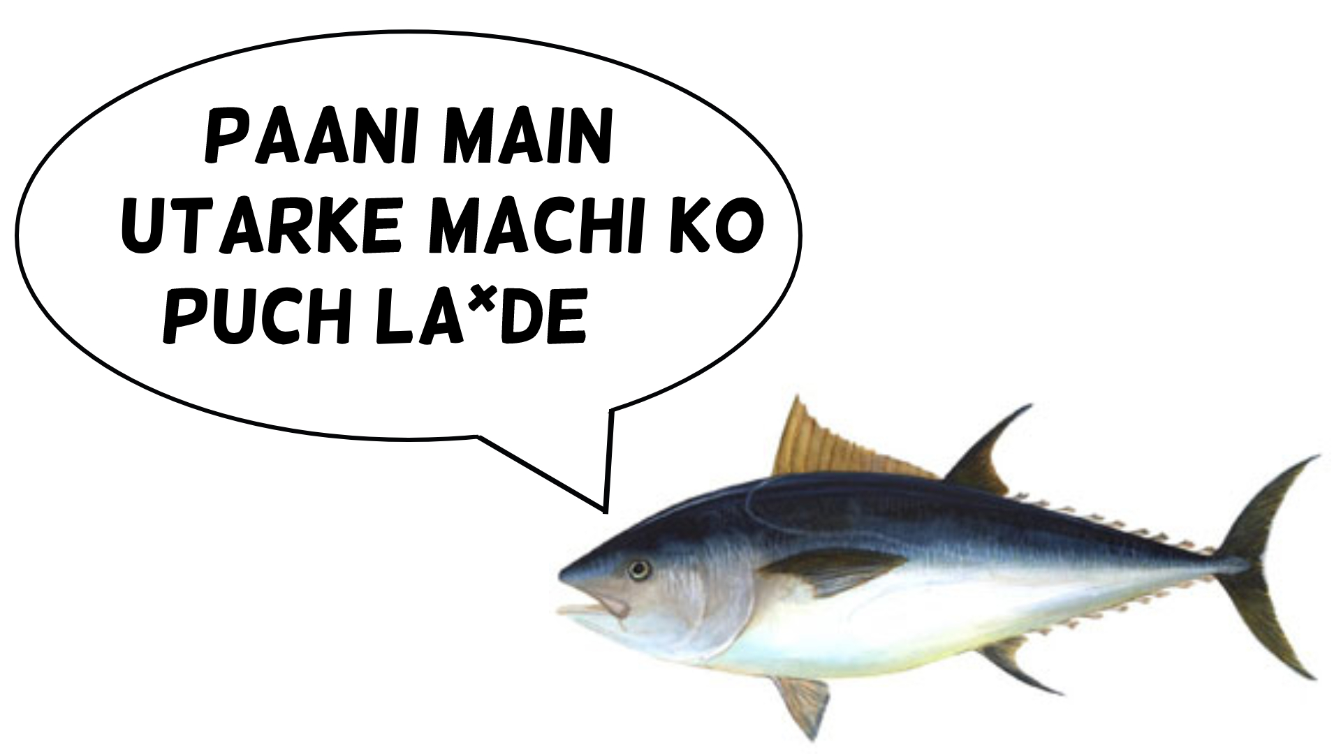 Marathi Name of Tuna Fish
