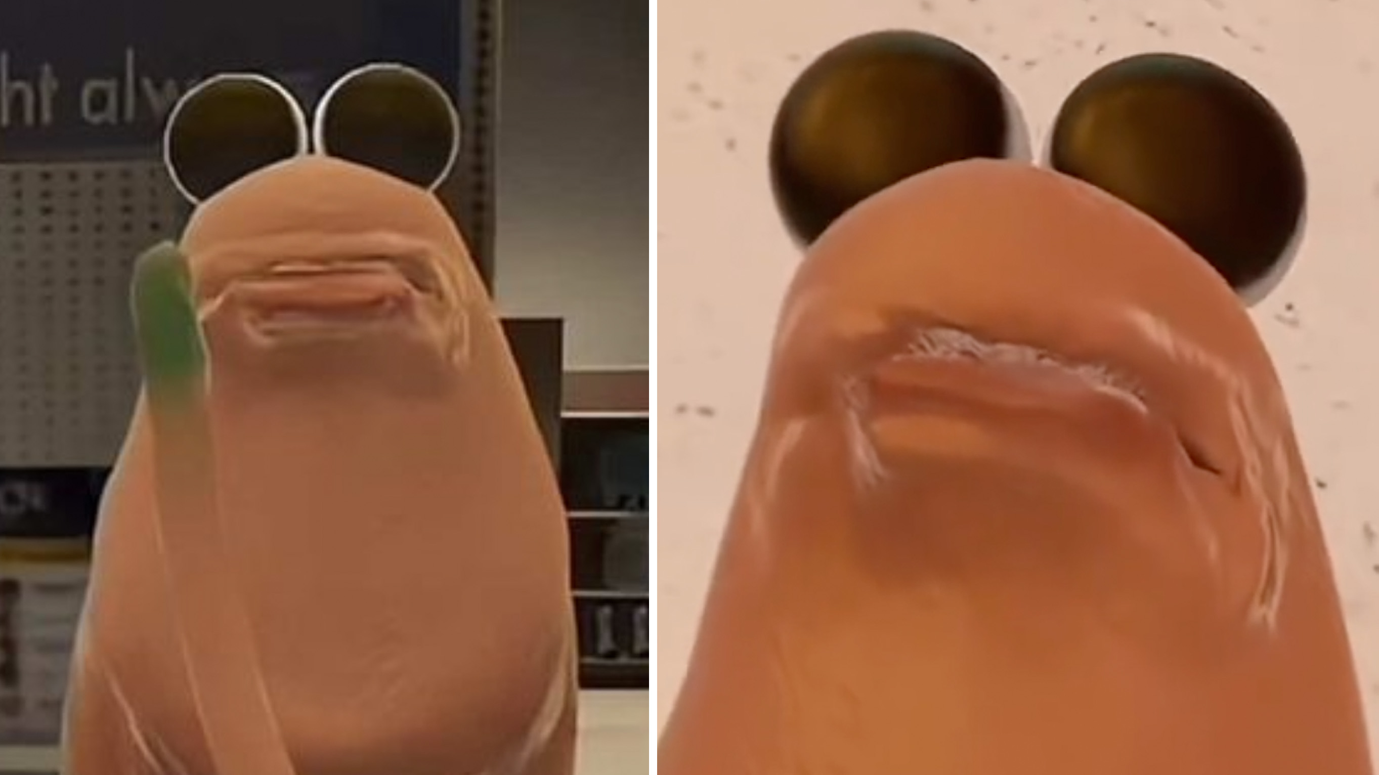 Marcus the Worm Meme Template