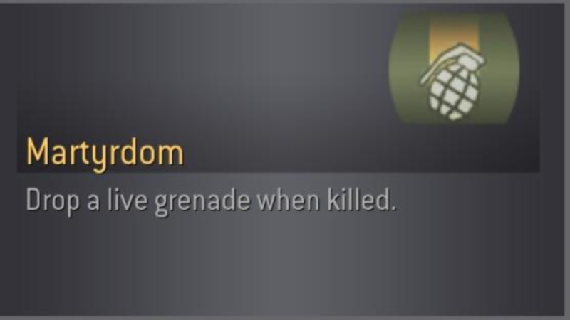 Martyrdom (Drop a Live Grenade When Killed) Meme Template