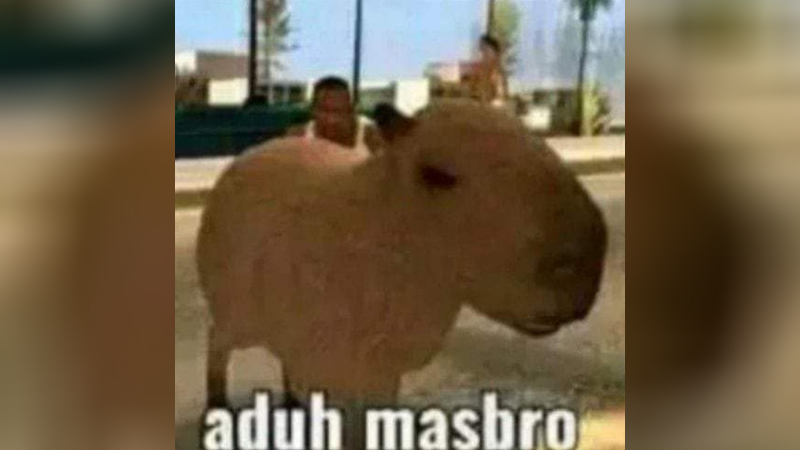 Masbro Meme Template