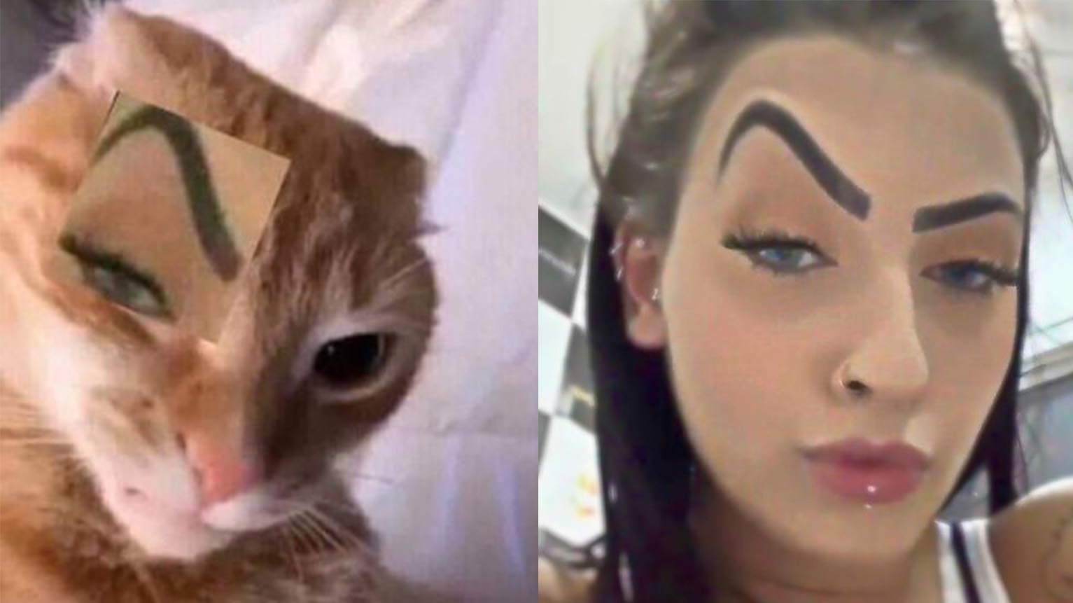 Mc Mirella Sobrancelha / Mc Mirella's Eyebrow / Sus Eyebrow