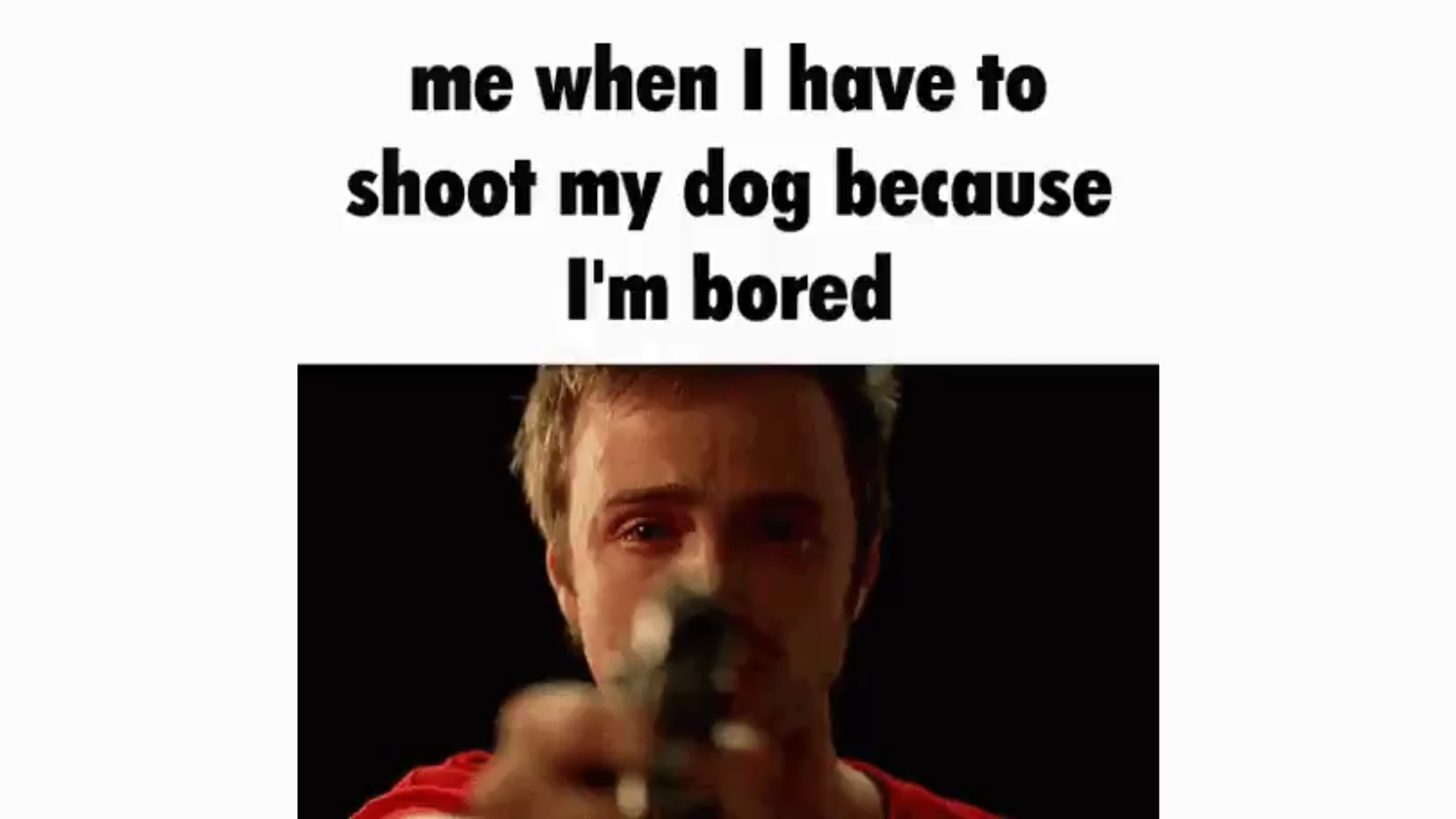 Me When I Have to Shoot My Dog Because I'm Bored