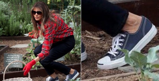 Melania Trump Gardening Meme Template
