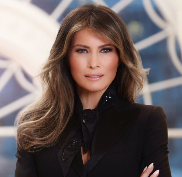 Melania Trump's First Lady Portrait Meme Template